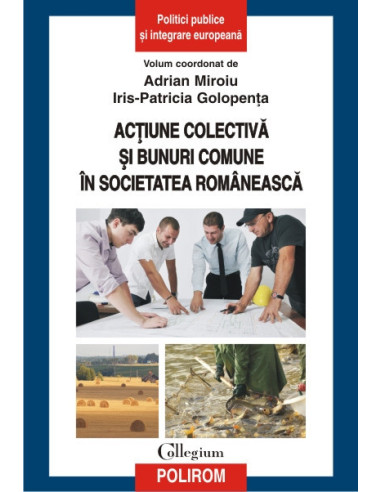 Acțiune colectivă și bunuri comune în societatea românească