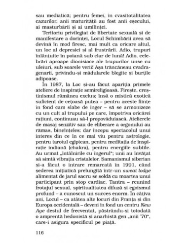 Particulele elementare Particulele elementare