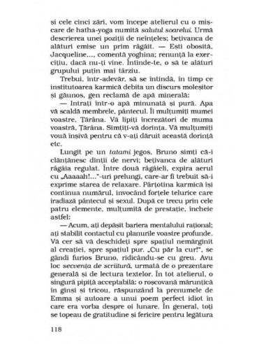 Particulele elementare Particulele elementare