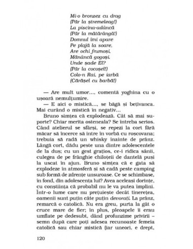 Particulele elementare Particulele elementare