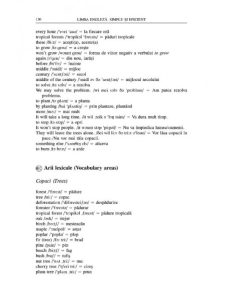 Limba engleză. Simplu şi eficient