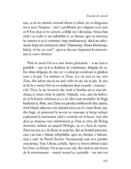 Tovarăși de cameră. Student la Chișinău. Rockman