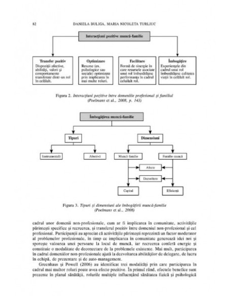 Psihologia socială. Nr. 29 (I)/2012 – Buletinul Laboratorului „Psihologia cîmpului social”, Universitatea „Al.I. Cuza”, Iaşi