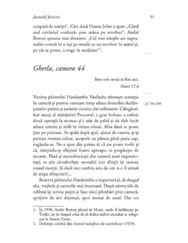 Jurnalul fericirii. Manuscrisul de la...