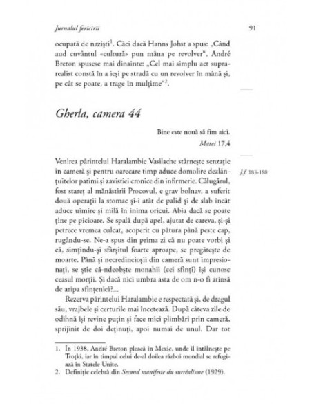 Jurnalul fericirii. Manuscrisul de la Rohia