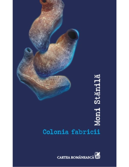 Colonia fabricii