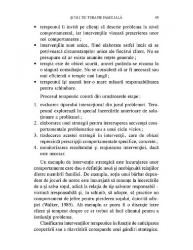 Terapie familială sistemică