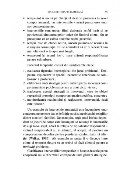 Terapie familială sistemică