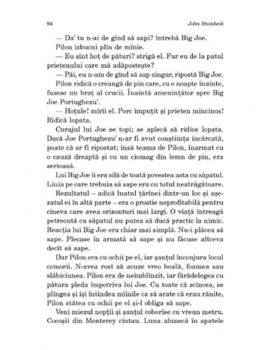 Cartierul Tortilla Cartierul Tortilla