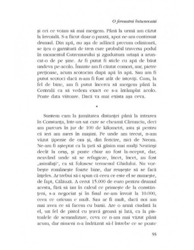 O fereastră intunecată