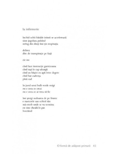 O formă de adăpost primară