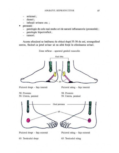 Terapia reflexologică aplicată în...