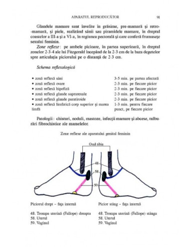 Terapia reflexologică aplicată în...