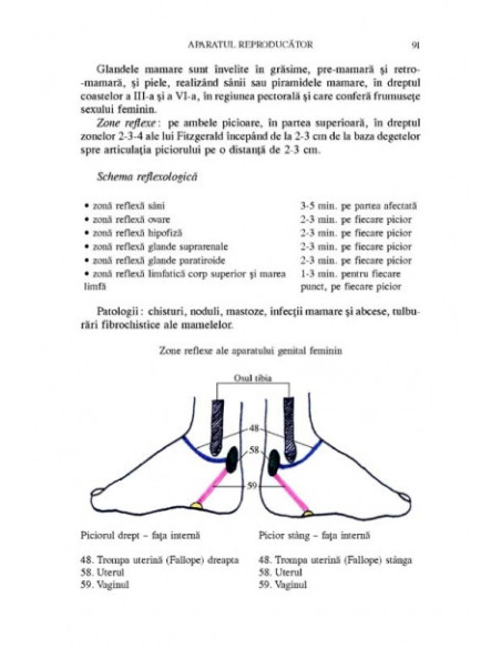 Terapia reflexologică aplicată în patologia femeii în toate etapele vieții