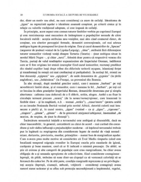 Economia socială a grupurilor vulnerabile
