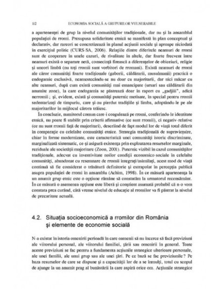 Economia socială a grupurilor vulnerabile