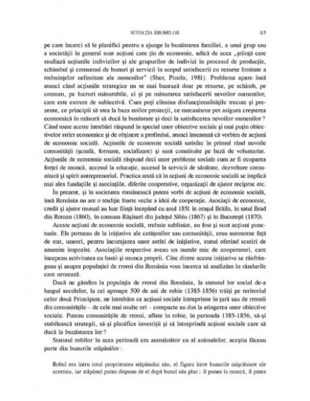 Economia socială a grupurilor vulnerabile