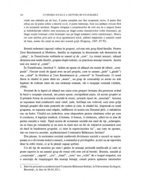 Economia socială a grupurilor vulnerabile
