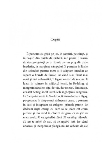 Buddha din podul casei