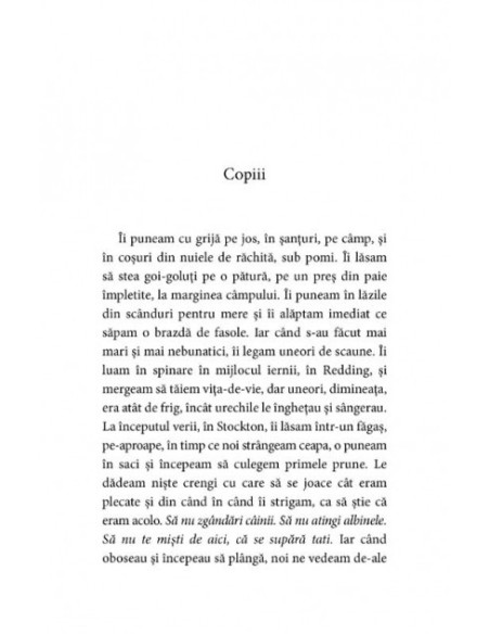 Buddha din podul casei