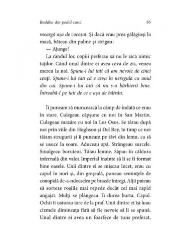 Buddha din podul casei