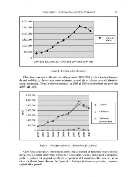Economia socială în contextul dezvoltării locale