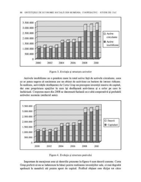 Economia socială în contextul dezvoltării locale