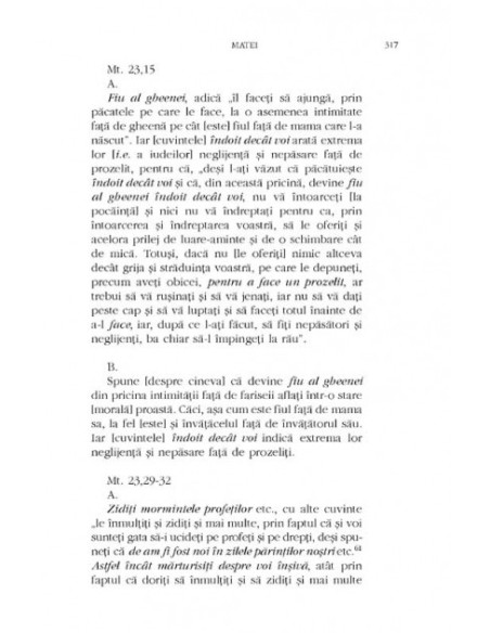 Mistagogia Duhului Sfânt. Exegeze la Evanghelii