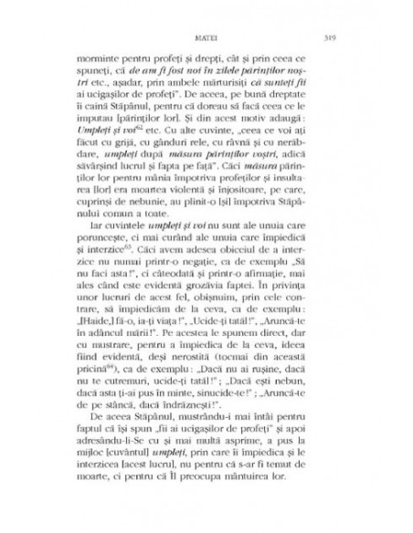 Mistagogia Duhului Sfânt. Exegeze la Evanghelii