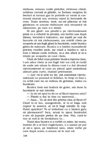 Copilăria  Copilăria