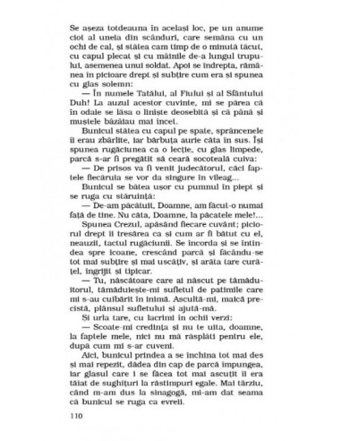 Copilăria  Copilăria