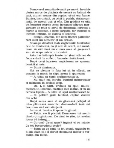 Copilăria  Copilăria