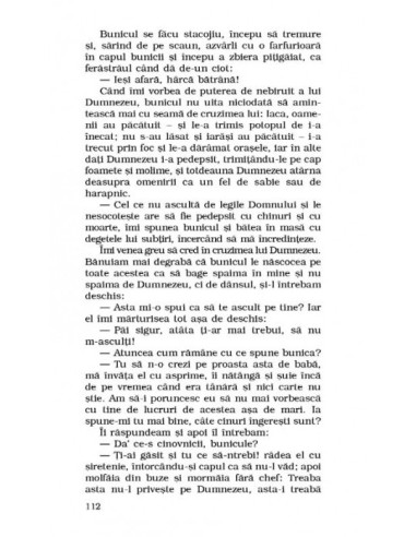 Copilăria  Copilăria