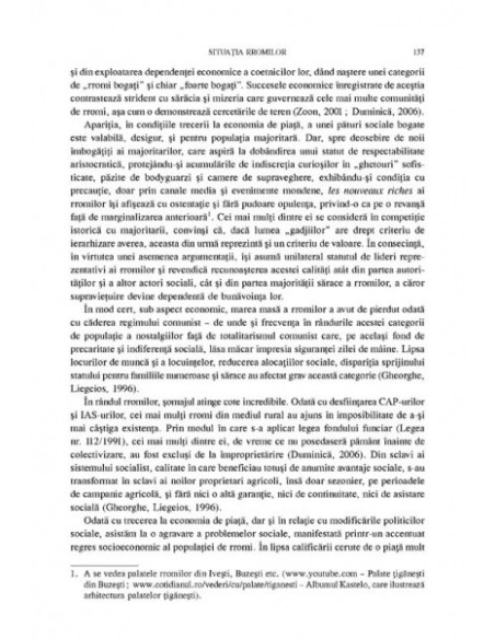 Economia socială a grupurilor vulnerabile