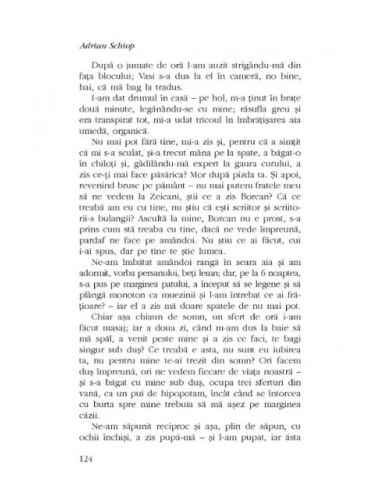 Soldaţii. Poveste din Ferentari Soldaţii. Poveste din Ferentari