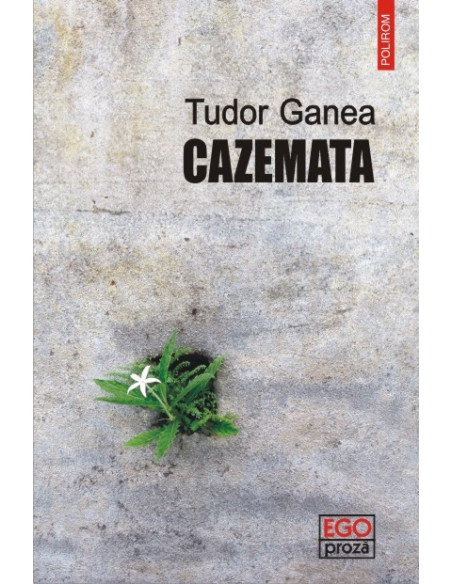 Cazemata