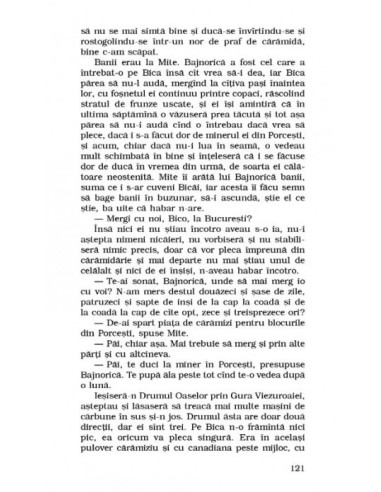 Amantul Colivăresei (ediție de buzunar)