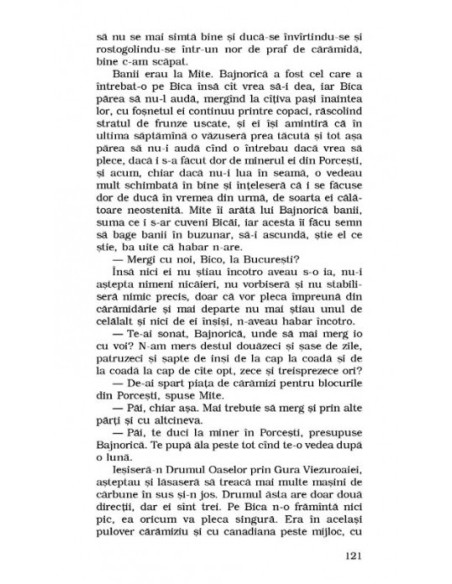 Amantul Colivăresei (ediție de buzunar)