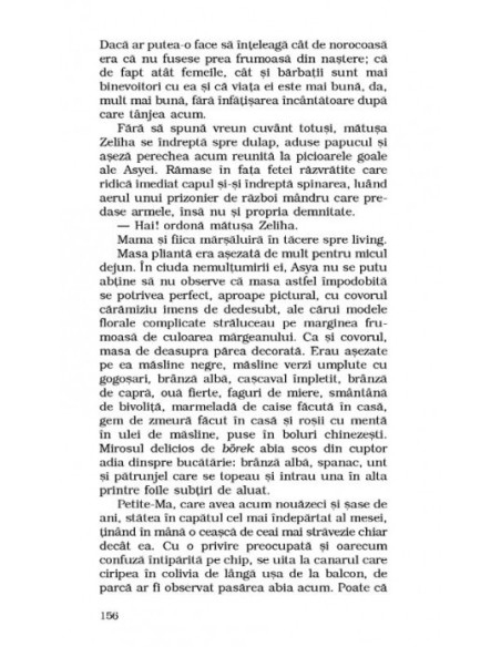 Bastarda Istanbulului