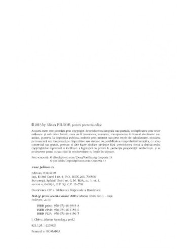 Best of: proza scurtă a anilor 2000