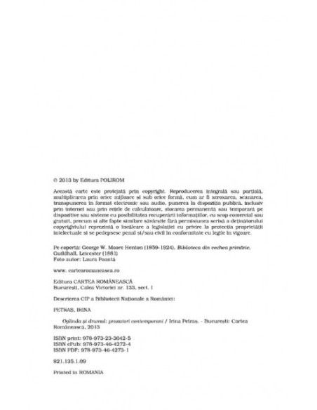 Oglinda și drumul. Prozatori contemporani