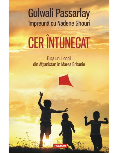 Cer întunecat