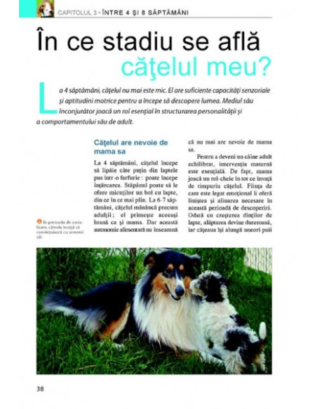 Cum să-ţi educi căţelul. Ghid ilustrat: pas cu pas, lună cu lună