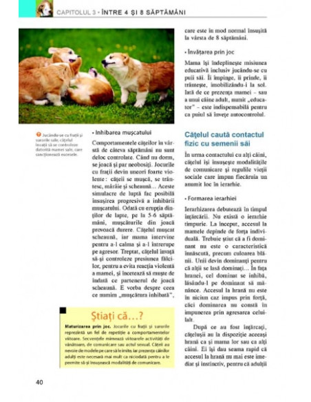 Cum să-ţi educi căţelul. Ghid ilustrat: pas cu pas, lună cu lună