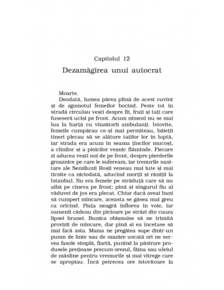 Portretul unei familii turcești. O poveste din Istanbulul de altădată (ediţie de buzunar)