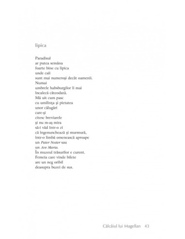 Calcîiul lui Magellan