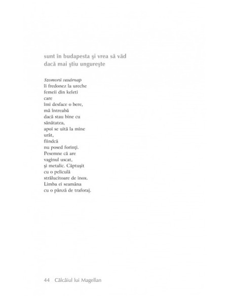 Calcîiul lui Magellan