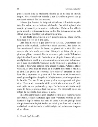 Oraşele din câmpie