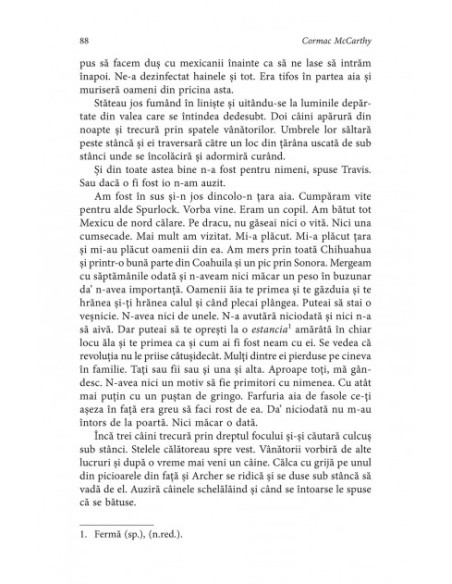 Oraşele din câmpie