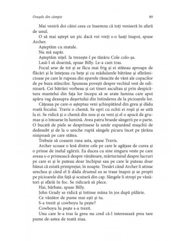 Oraşele din câmpie